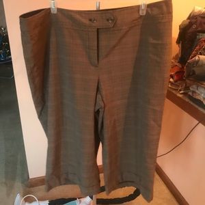 Lane Bryant Capri Size 26